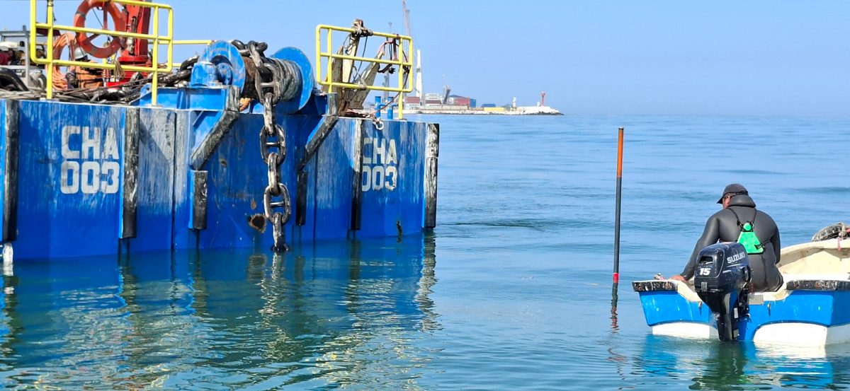 Barcaza de trabajo con molinete y cadena de fondeo trabajando en aguas someras, junto a una embarcación menor con un buzo profesional equipado y una pértiga de posicionamiento.